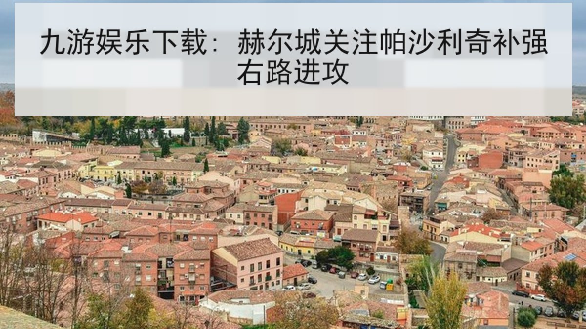 九游娱乐下载: 赫尔城关注帕沙利奇补强右路进攻