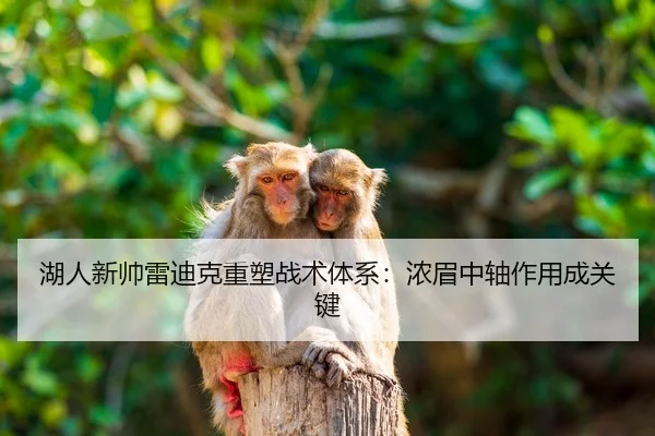 湖人新帅雷迪克重塑战术体系：浓眉中轴作用成关键