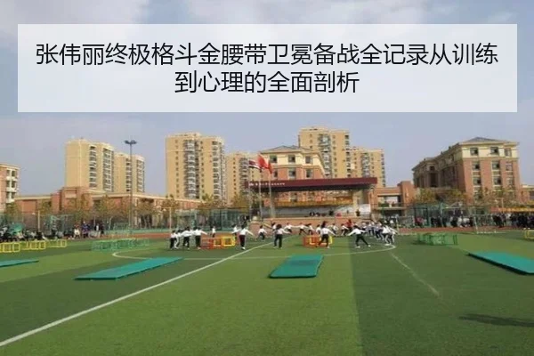 张伟丽终极格斗金腰带卫冕备战全记录从训练到心理的全面剖析