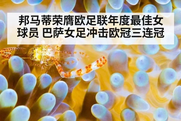 邦马蒂荣膺欧足联年度最佳女球员 巴萨女足冲击欧冠三连冠