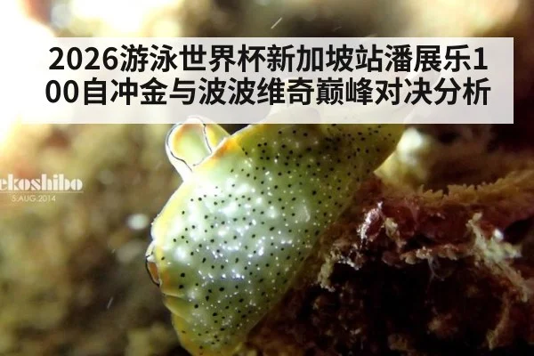 2026游泳世界杯新加坡站潘展乐100自冲金与波波维奇巅峰对决分析